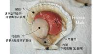 自制蒜蓉粉丝蒸扇贝做法图解5)