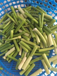 家常菜蒜苗炒豆干做法图解1)