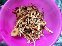 滋补的茶树菇煲鸡汤做法图解1)