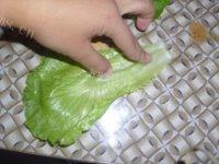 自制蔬菜色拉做法图解1)