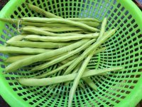 家常菜清炒四季豆做法图解1)