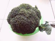 「绿色食物」清炒西兰花做法图解1)