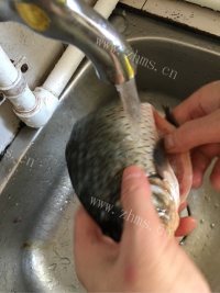 珍馐美味的鲫鱼豆腐汤做法图解1)