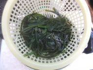 鲜美筋道的凉拌海带丝做法图解5)