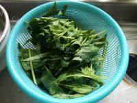 凉拌菠菜（简易版）做法图解3)