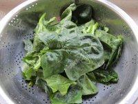 简易的菠菜煎饼做法图解2)