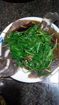 家常菜蒸多宝鱼