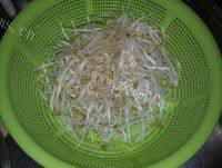 有特色的韭菜炒豆芽做法图解1)