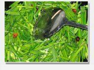 家常菜韭菜苔炒香干做法图解6)