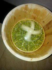 简易的自发绿豆芽做法图解3)