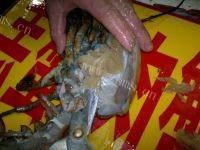 香味四溢的蒜蓉蒸龙虾做法图解5)