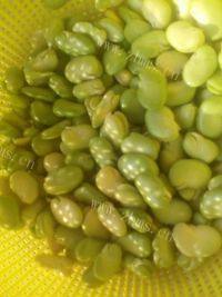 家常菜蚕豆炒鸡蛋做法图解1)