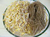 家常菜黄豆芽炒粉丝做法图解1)