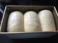 自制酸奶全麦吐司做法图解11)