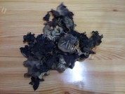 家常菜辣椒炒木耳做法图解1)