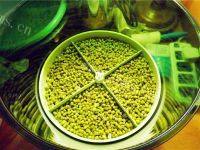 自制绿豆芽做法图解5)