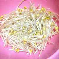 特色美食豆芽炒肉做法图解1)