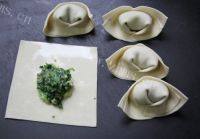 自己做的荠菜肉馄饨做法图解7)