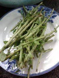 枸杞猪杂汤做法图解3)