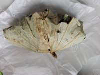 美味砂锅荷香盐焗鸡做法图解5)