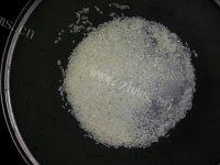 自己做的皮蛋瘦肉粥做法图解1)
