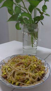 鲜香美味豆芽炒肉做法图解6)