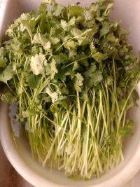 家庭版凉拌香菜做法图解2)
