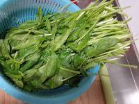 质嫩的素炒菠菜做法图解1)