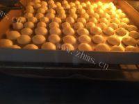 酸奶溶豆做法图解4)