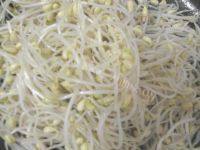 美味的炒黄豆芽做法图解4)