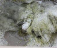 美味三色面包做法图解3)