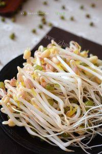 自制绿豆芽