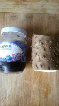 好吃的蓝莓酱山药做法图解1)