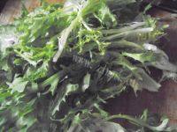 自己做的大拌菜做法图解2)