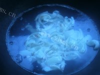 美味的洋葱炒鱿鱼做法图解3)
