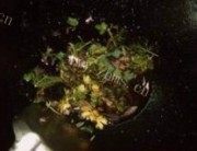 美味的蜜汁香草烤鸡做法图解2)