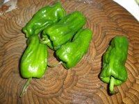 家常菜青椒炒腊肠做法图解1)