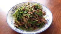 绿色食物香菜炒肉丝