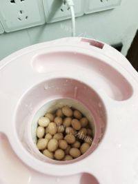 自制豆浆做法图解2)