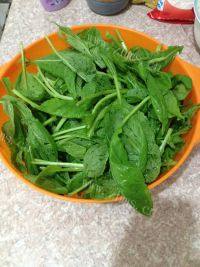 家常菜虾米炒青菜做法图解1)