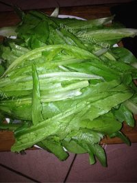 清炒香麦菜做法图解1)