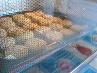 特制豆沙馅月饼做法图解18)