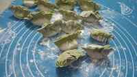 美味的白菜饺子