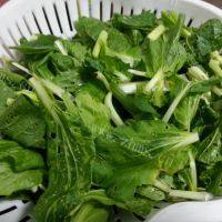 家常菜蒜蓉小白菜做法图解1)