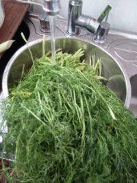 自己做的茴香饺子做法图解1)