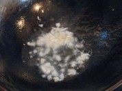 可口的蒜香空心菜做法图解4)