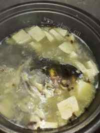 家常菜鱼头炖豆腐做法图解6)