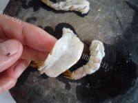 家常菜芦笋虾仁做法图解2)