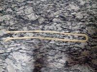 自制酥脆小麻花做法图解4)