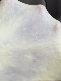 自制肉松小面包做法图解5)